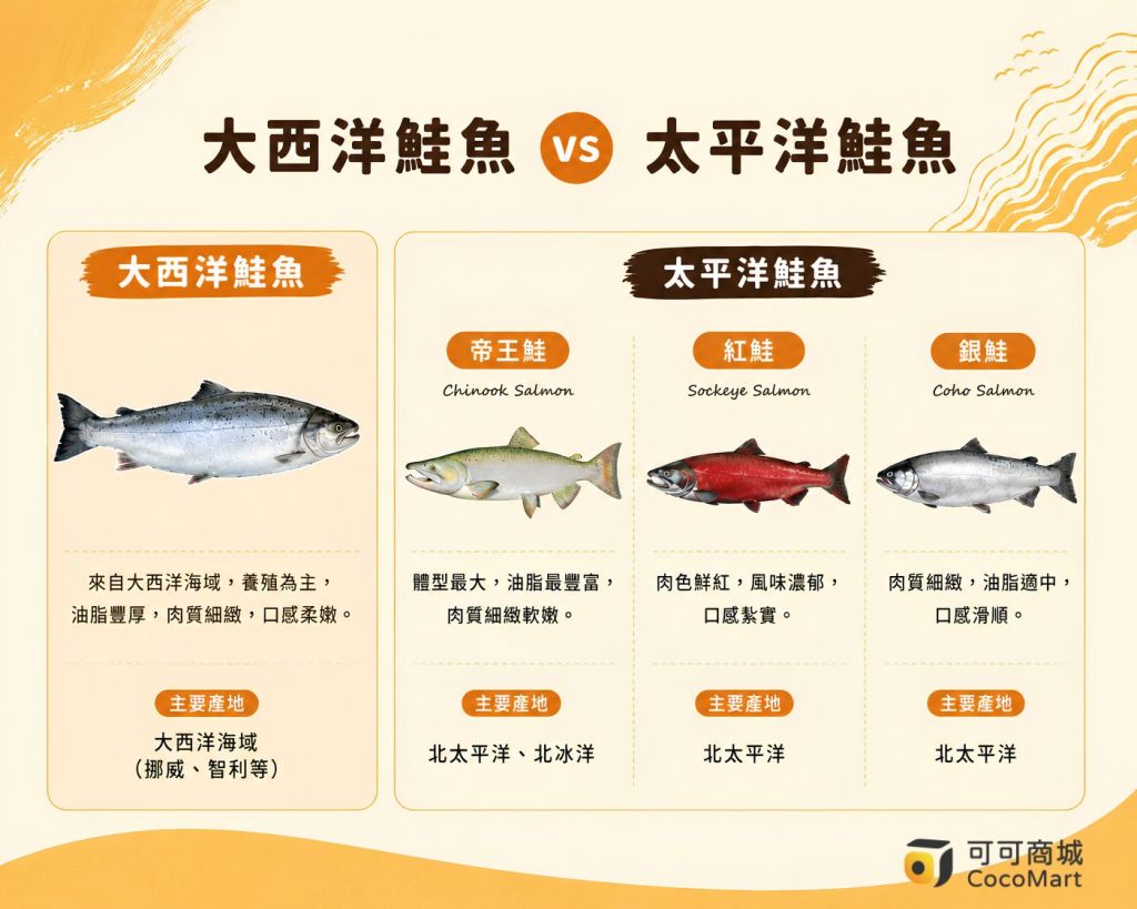 太平洋鮭魚 vs 大西洋鮭魚