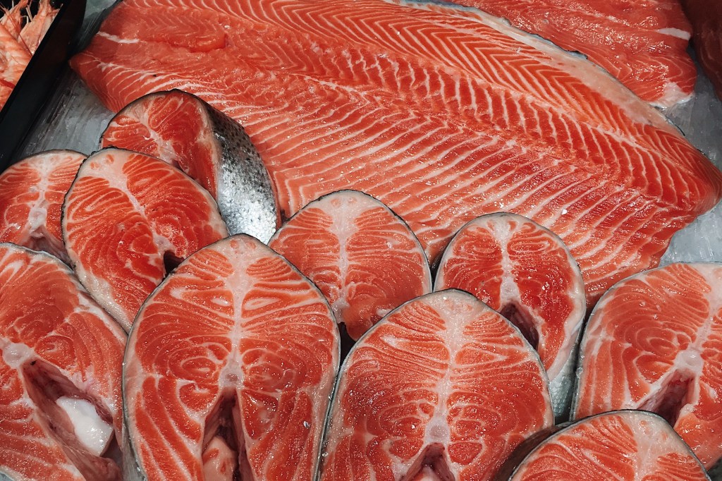 健康餐盒商用鮭魚怎麼挑？餐飲老闆必看的規格選擇與保存指南